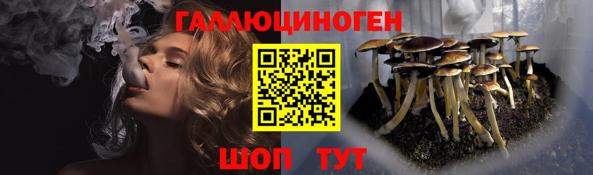 Видное  Псилоцибиновые грибы прущие грибы  Вход с VPN 